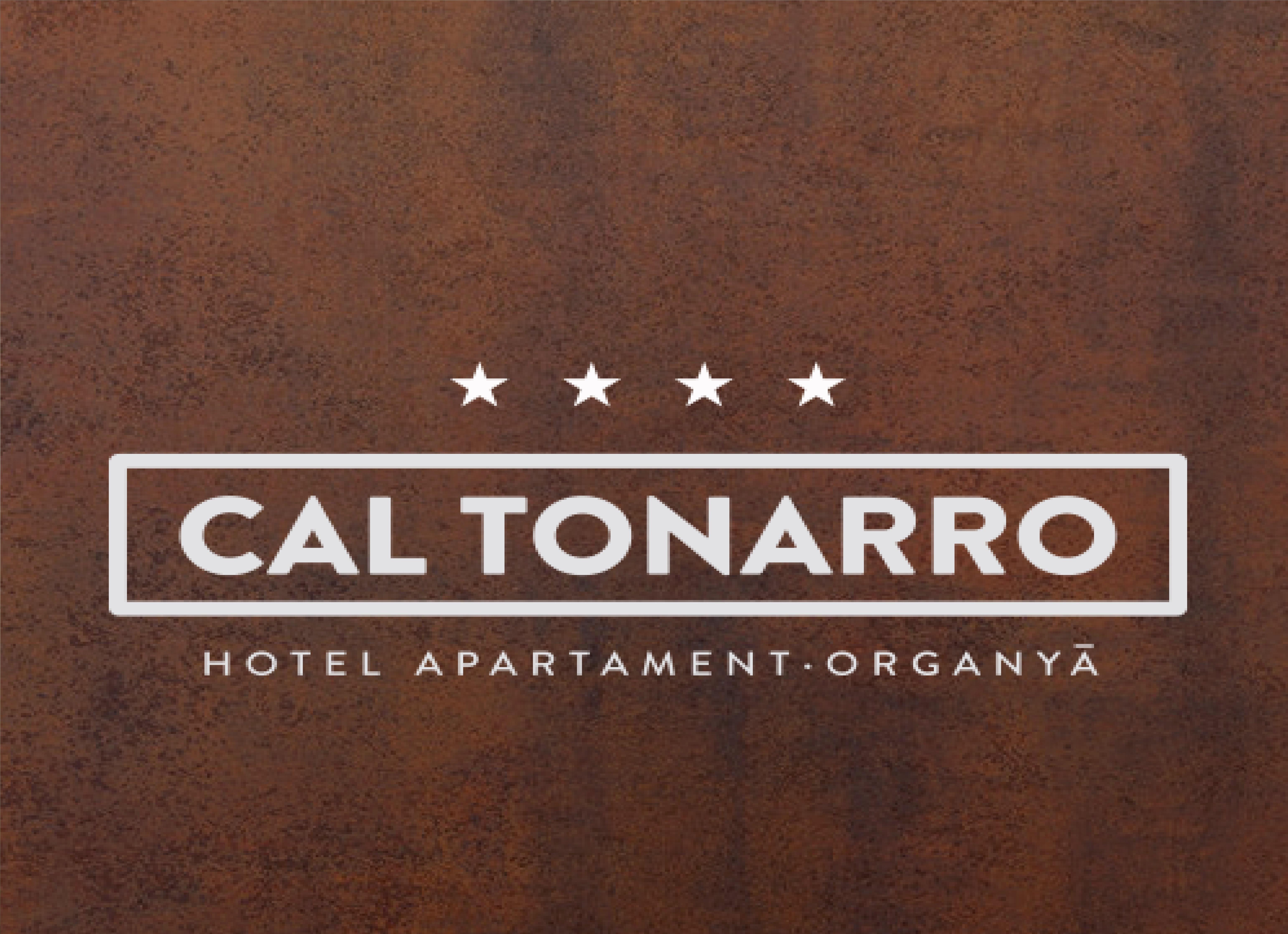 Cal Tonarro Hotel Organya Eksteriør billede